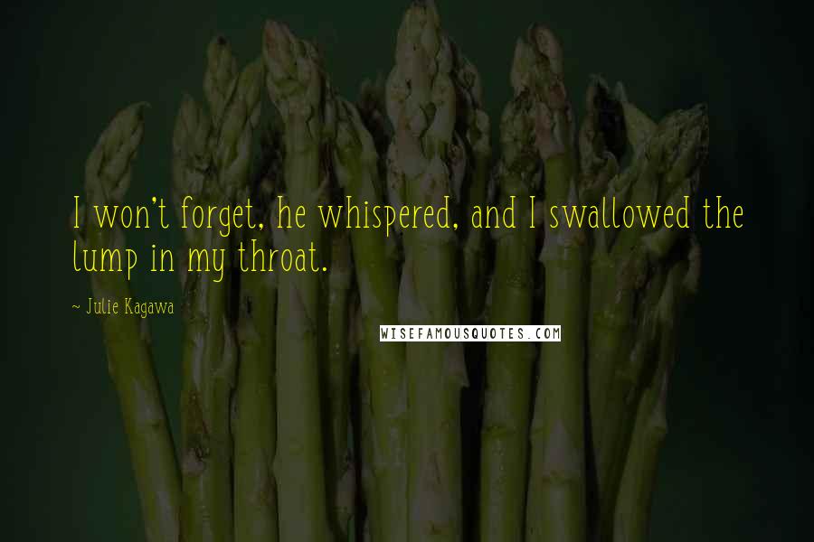 Julie Kagawa Quotes: I won't forget, he whispered, and I swallowed the lump in my throat.