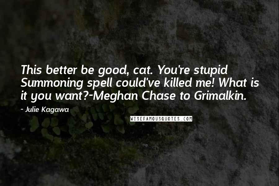 Julie Kagawa Quotes: This better be good, cat. You're stupid Summoning spell could've killed me! What is it you want?-Meghan Chase to Grimalkin.
