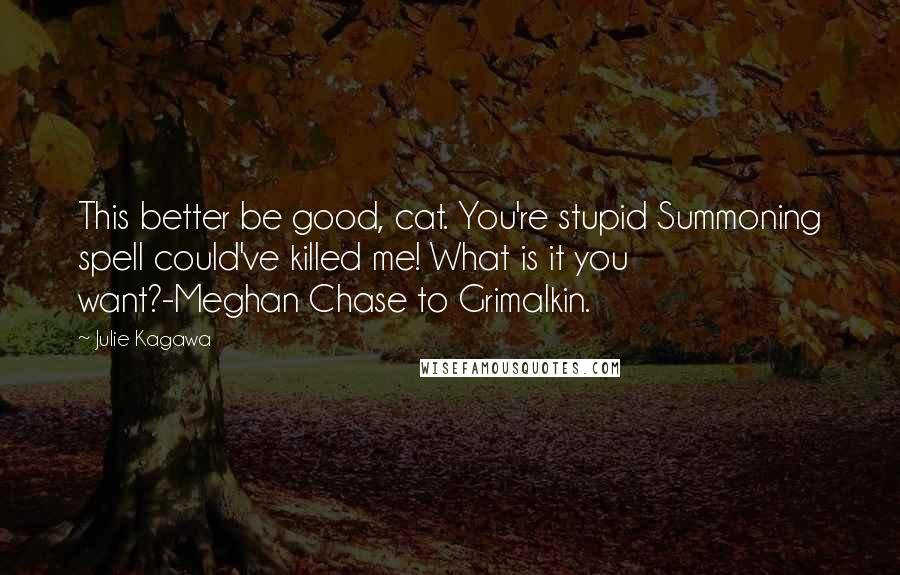 Julie Kagawa Quotes: This better be good, cat. You're stupid Summoning spell could've killed me! What is it you want?-Meghan Chase to Grimalkin.