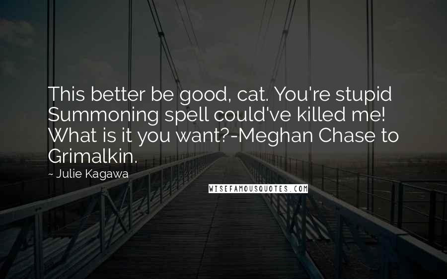 Julie Kagawa Quotes: This better be good, cat. You're stupid Summoning spell could've killed me! What is it you want?-Meghan Chase to Grimalkin.