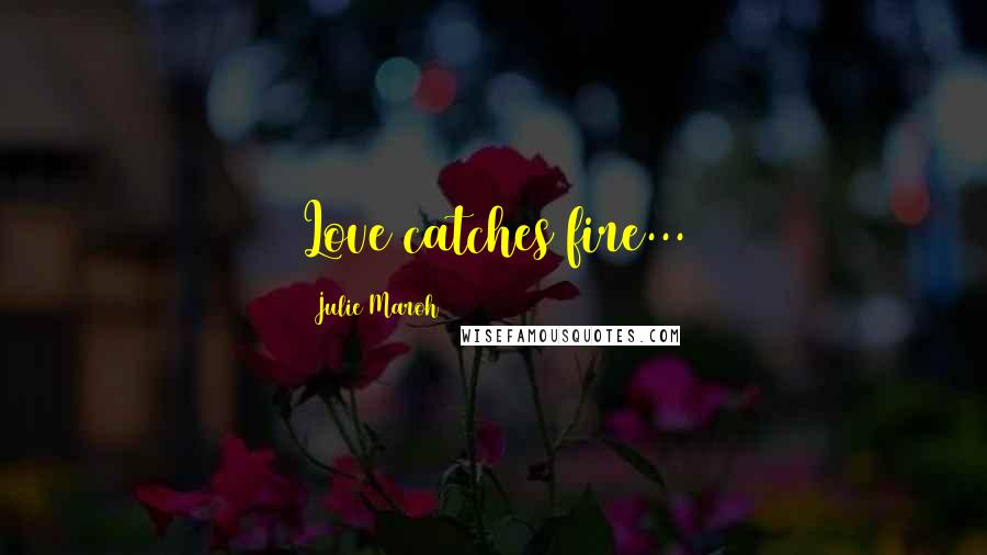 Julie Maroh Quotes: Love catches fire...