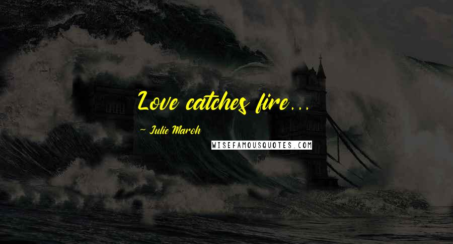 Julie Maroh Quotes: Love catches fire...