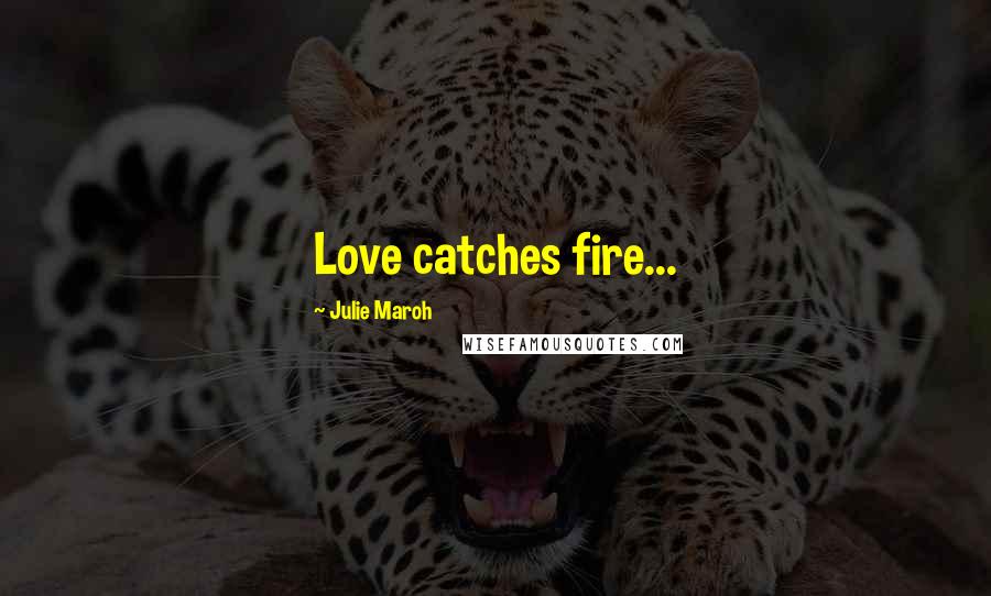 Julie Maroh Quotes: Love catches fire...