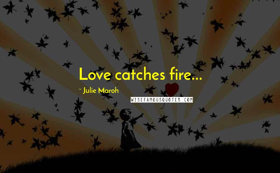 Julie Maroh Quotes: Love catches fire...