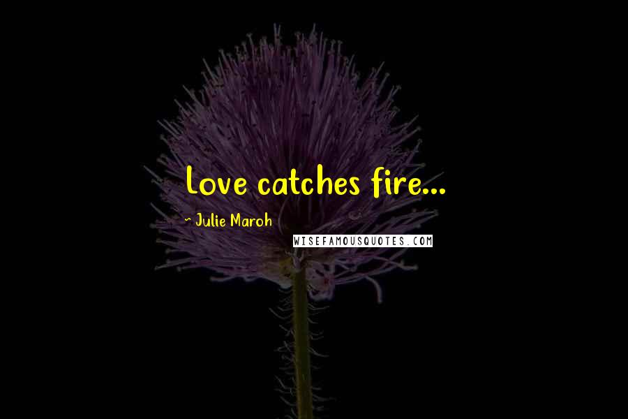 Julie Maroh Quotes: Love catches fire...