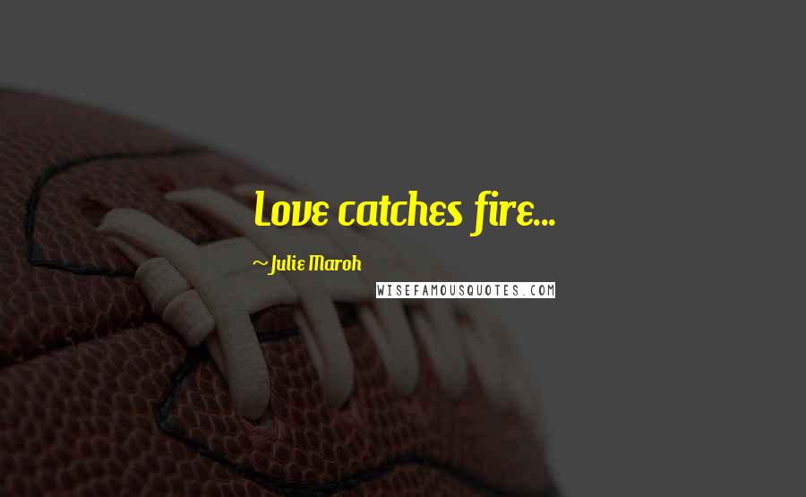 Julie Maroh Quotes: Love catches fire...