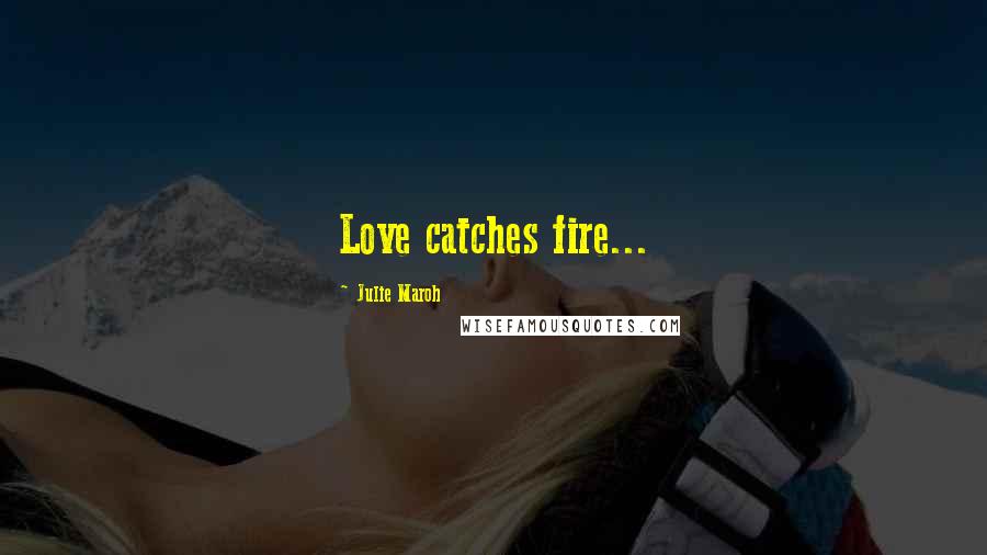 Julie Maroh Quotes: Love catches fire...