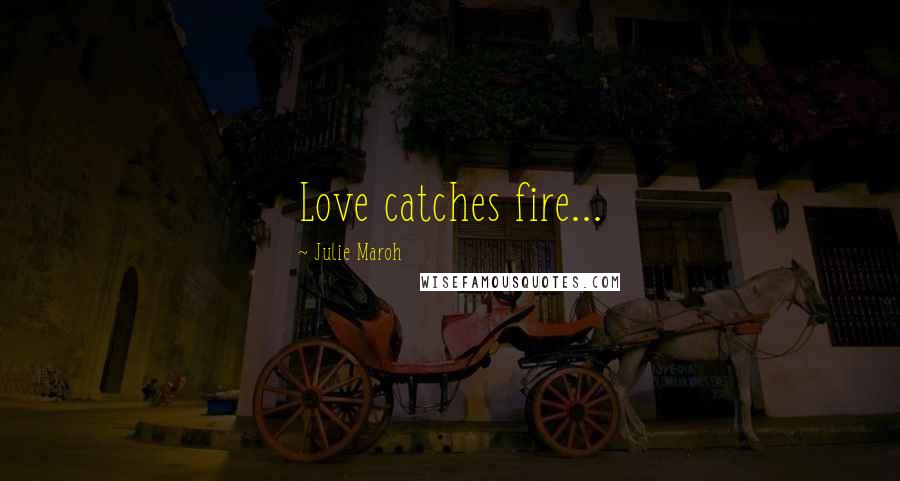 Julie Maroh Quotes: Love catches fire...