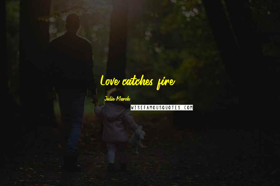 Julie Maroh Quotes: Love catches fire...