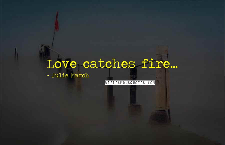 Julie Maroh Quotes: Love catches fire...