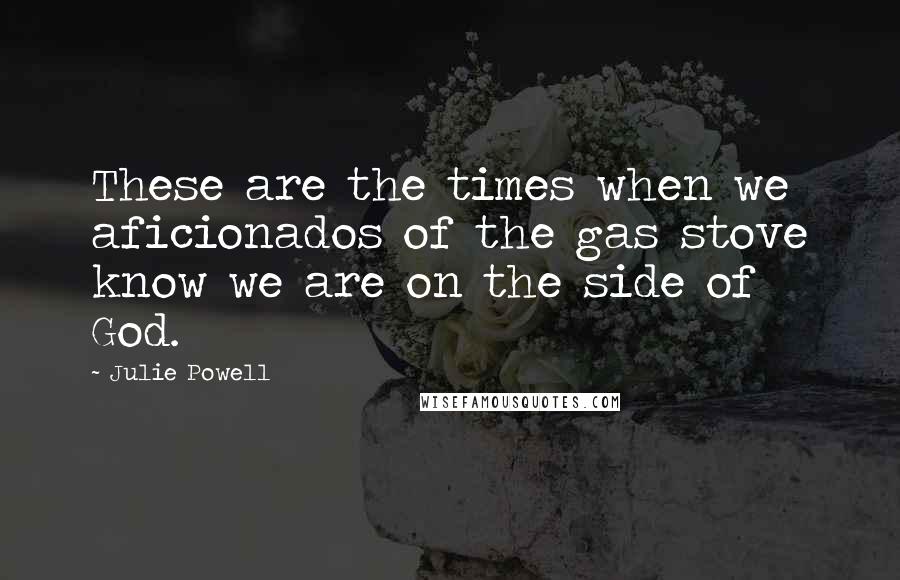 Julie Powell Quotes: These are the times when we aficionados of the gas stove know we are on the side of God.