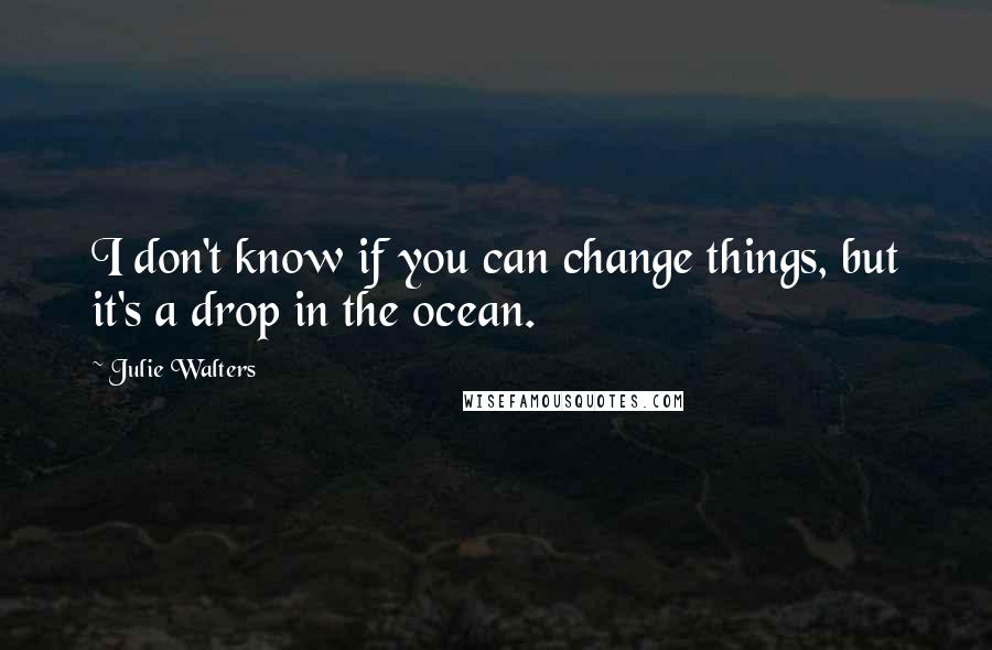 Julie Walters Quotes: I don't know if you can change things, but it's a drop in the ocean.