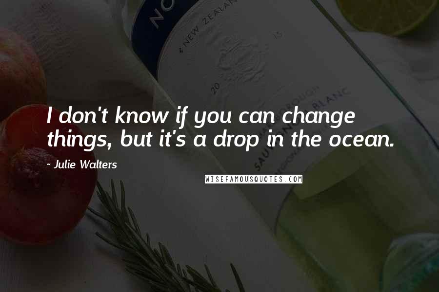 Julie Walters Quotes: I don't know if you can change things, but it's a drop in the ocean.