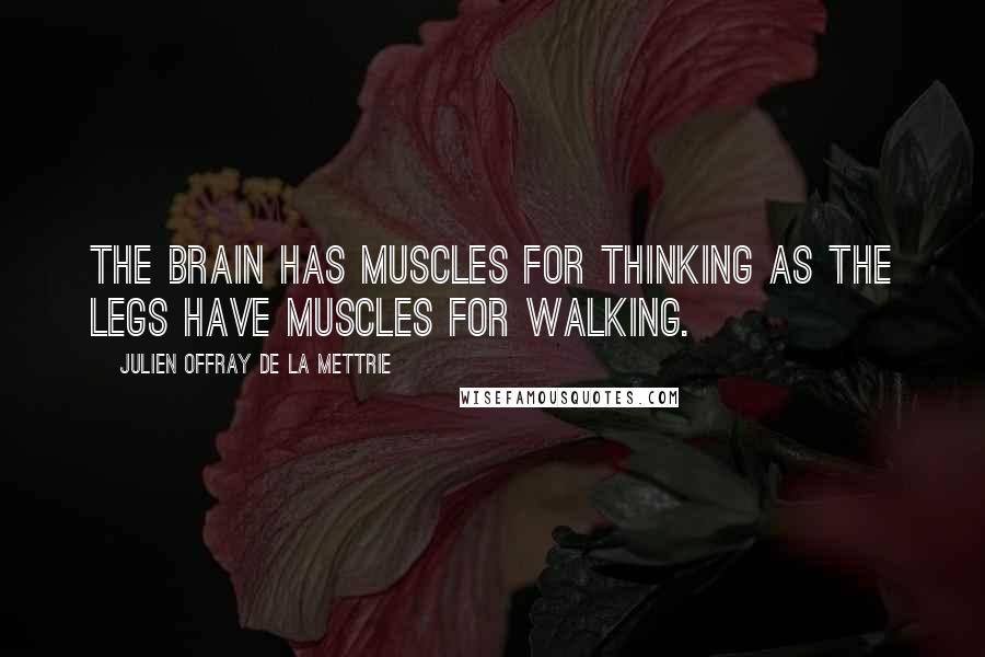 Julien Offray De La Mettrie Quotes: The brain has muscles for thinking as the legs have muscles for walking.