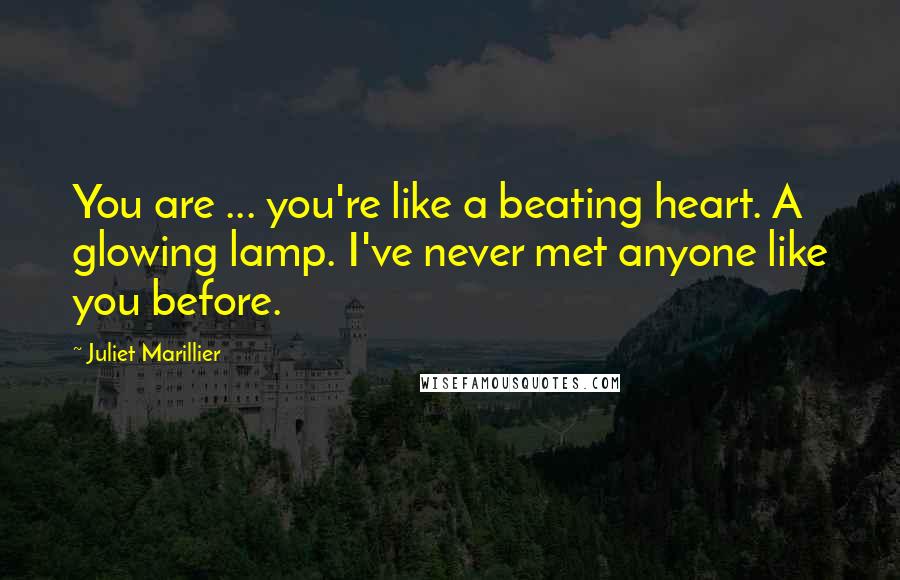 Juliet Marillier Quotes: You are ... you're like a beating heart. A glowing lamp. I've never met anyone like you before.