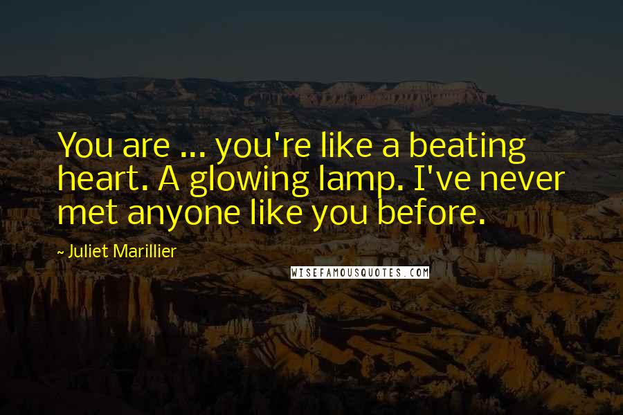 Juliet Marillier Quotes: You are ... you're like a beating heart. A glowing lamp. I've never met anyone like you before.