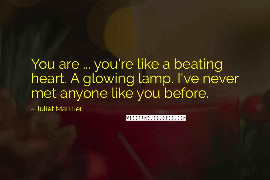 Juliet Marillier Quotes: You are ... you're like a beating heart. A glowing lamp. I've never met anyone like you before.