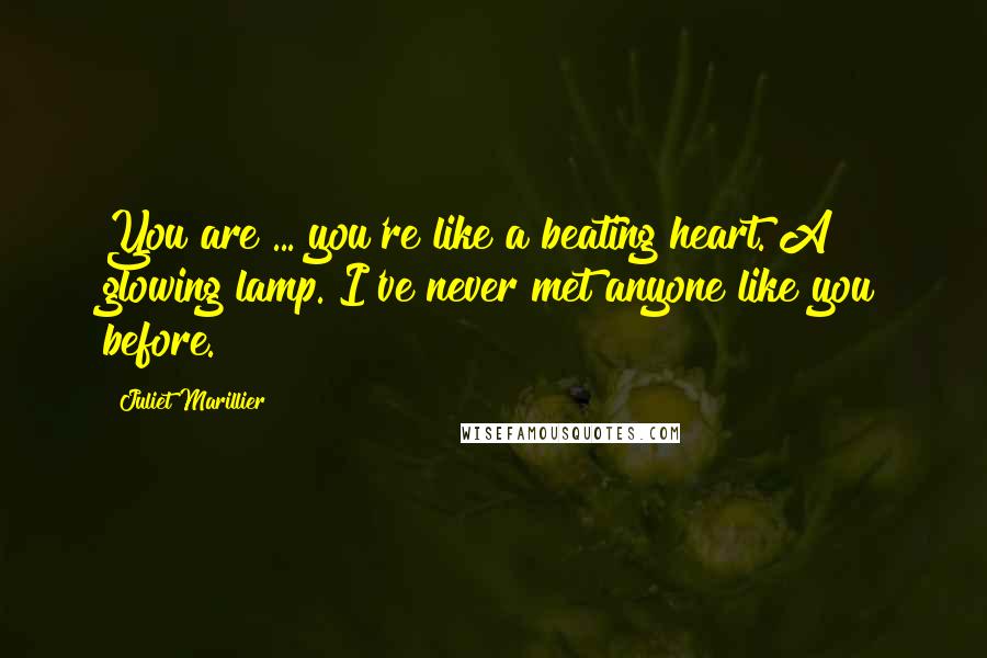 Juliet Marillier Quotes: You are ... you're like a beating heart. A glowing lamp. I've never met anyone like you before.