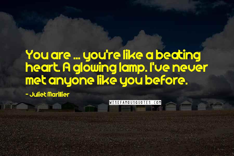 Juliet Marillier Quotes: You are ... you're like a beating heart. A glowing lamp. I've never met anyone like you before.