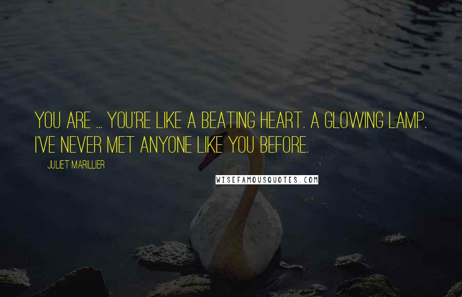 Juliet Marillier Quotes: You are ... you're like a beating heart. A glowing lamp. I've never met anyone like you before.