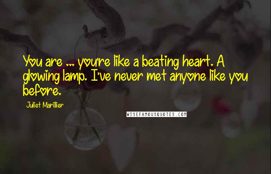 Juliet Marillier Quotes: You are ... you're like a beating heart. A glowing lamp. I've never met anyone like you before.