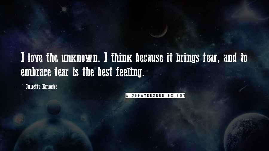 Juliette Binoche Quotes: I love the unknown. I think because it brings fear, and to embrace fear is the best feeling.