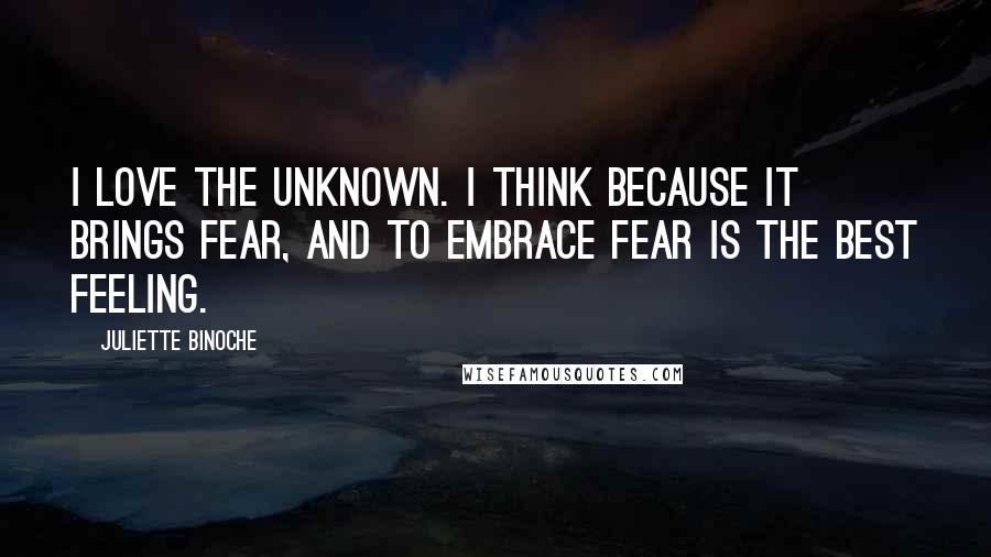 Juliette Binoche Quotes: I love the unknown. I think because it brings fear, and to embrace fear is the best feeling.