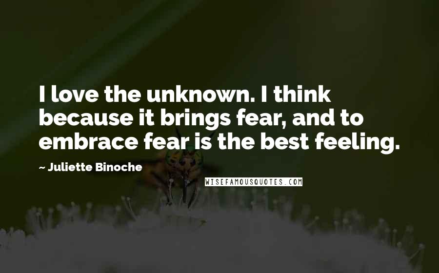 Juliette Binoche Quotes: I love the unknown. I think because it brings fear, and to embrace fear is the best feeling.
