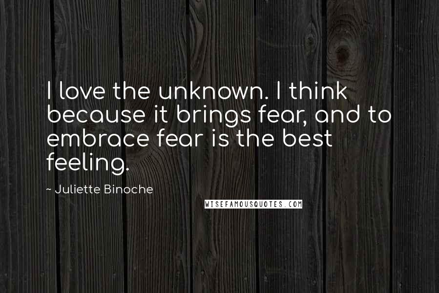 Juliette Binoche Quotes: I love the unknown. I think because it brings fear, and to embrace fear is the best feeling.