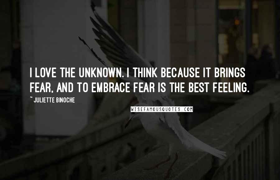 Juliette Binoche Quotes: I love the unknown. I think because it brings fear, and to embrace fear is the best feeling.