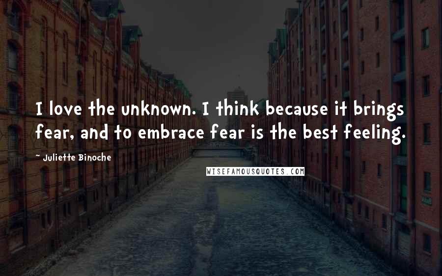 Juliette Binoche Quotes: I love the unknown. I think because it brings fear, and to embrace fear is the best feeling.