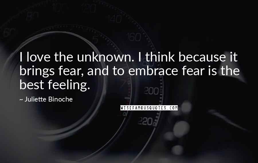 Juliette Binoche Quotes: I love the unknown. I think because it brings fear, and to embrace fear is the best feeling.