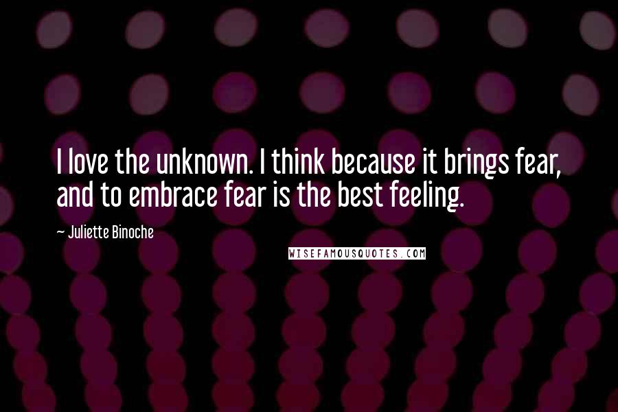 Juliette Binoche Quotes: I love the unknown. I think because it brings fear, and to embrace fear is the best feeling.