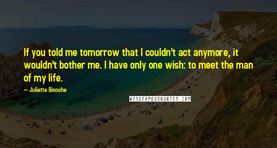 Juliette Binoche Quotes: If you told me tomorrow that I couldn't act anymore, it wouldn't bother me. I have only one wish: to meet the man of my life.