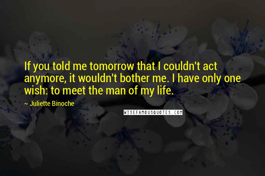 Juliette Binoche Quotes: If you told me tomorrow that I couldn't act anymore, it wouldn't bother me. I have only one wish: to meet the man of my life.