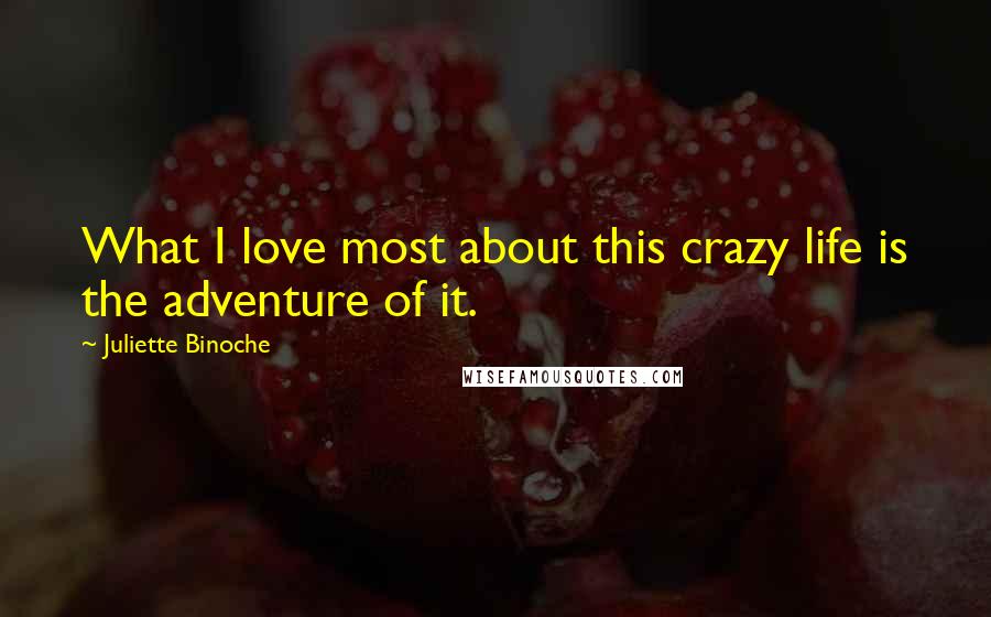 Juliette Binoche Quotes: What I love most about this crazy life is the adventure of it.
