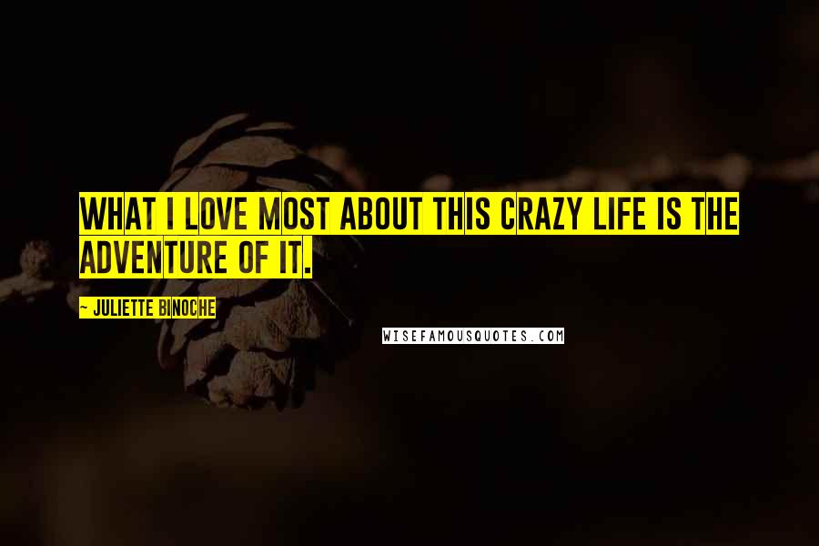 Juliette Binoche Quotes: What I love most about this crazy life is the adventure of it.