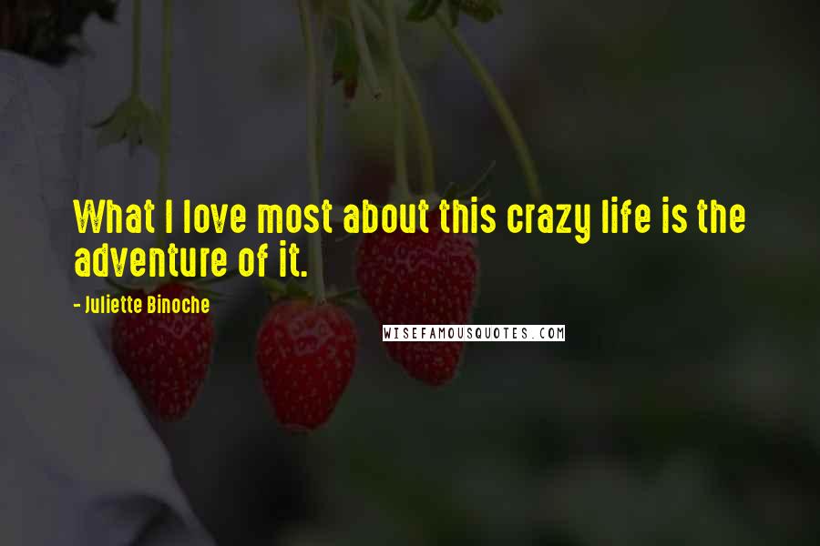 Juliette Binoche Quotes: What I love most about this crazy life is the adventure of it.