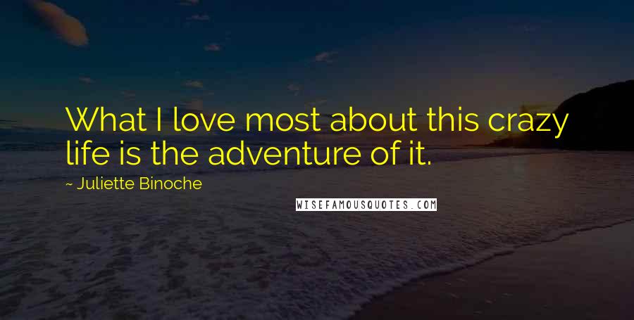 Juliette Binoche Quotes: What I love most about this crazy life is the adventure of it.