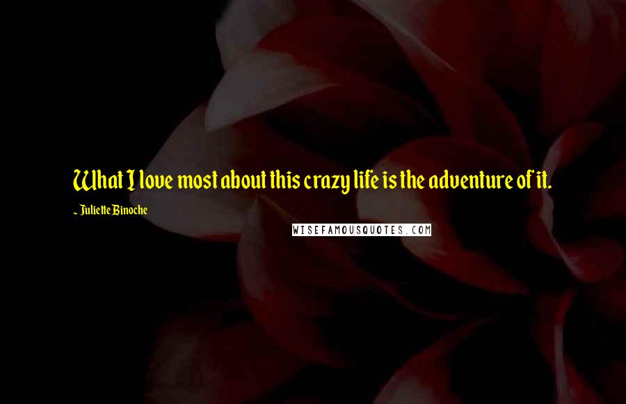 Juliette Binoche Quotes: What I love most about this crazy life is the adventure of it.