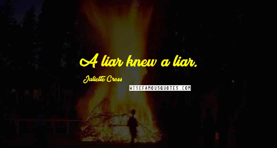 Juliette Cross Quotes: A liar knew a liar.