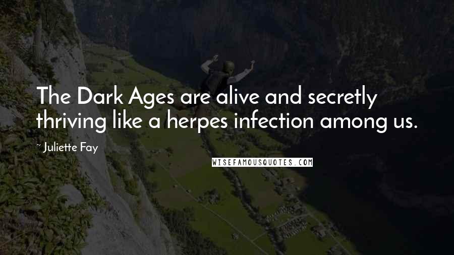 Juliette Fay Quotes: The Dark Ages are alive and secretly thriving like a herpes infection among us.