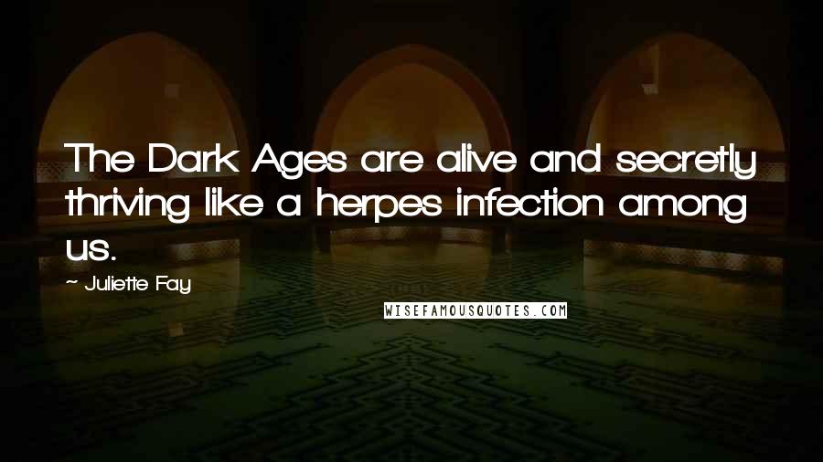 Juliette Fay Quotes: The Dark Ages are alive and secretly thriving like a herpes infection among us.