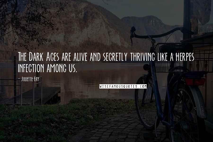Juliette Fay Quotes: The Dark Ages are alive and secretly thriving like a herpes infection among us.