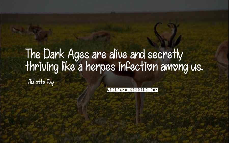 Juliette Fay Quotes: The Dark Ages are alive and secretly thriving like a herpes infection among us.