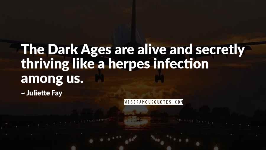 Juliette Fay Quotes: The Dark Ages are alive and secretly thriving like a herpes infection among us.