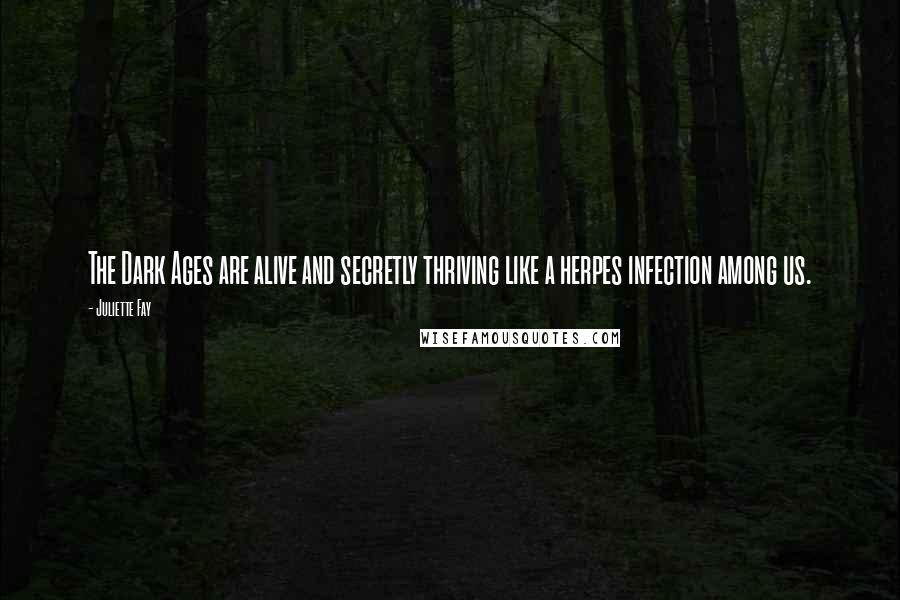 Juliette Fay Quotes: The Dark Ages are alive and secretly thriving like a herpes infection among us.