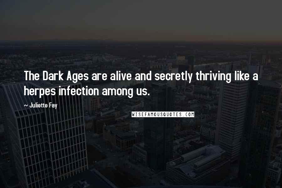 Juliette Fay Quotes: The Dark Ages are alive and secretly thriving like a herpes infection among us.