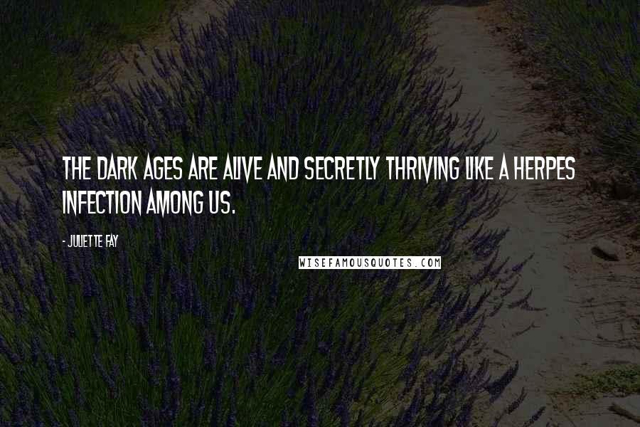 Juliette Fay Quotes: The Dark Ages are alive and secretly thriving like a herpes infection among us.