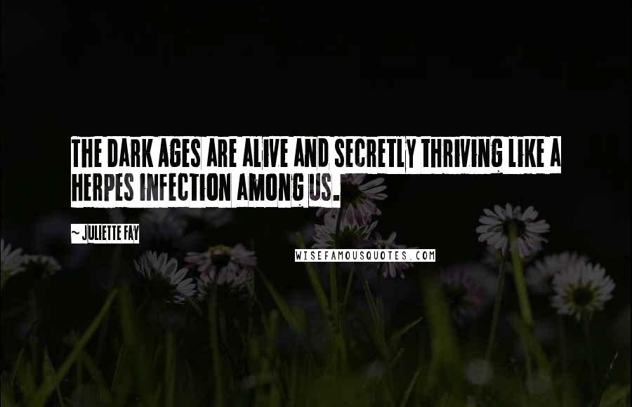 Juliette Fay Quotes: The Dark Ages are alive and secretly thriving like a herpes infection among us.